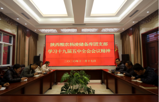 儲備糧管理集團：各團支部掀起集中學(xué)習(xí)十九屆五中全會精神熱潮