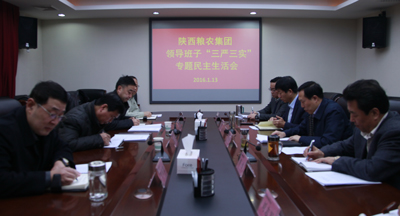 陜西糧農(nóng)集團(tuán)黨委召開(kāi)“三嚴(yán)三實(shí)”專(zhuān)題民主生活會(huì)