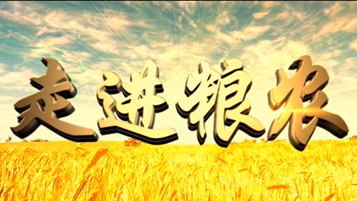 4分鐘，閱讀奮斗崛起中的糧農(nóng)集團(tuán)！