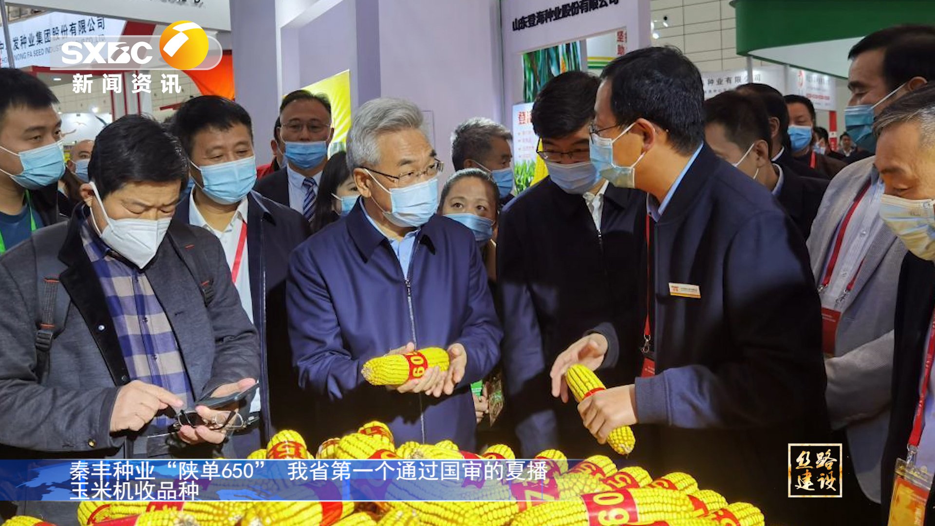 陜西電視臺《絲路建設(shè)》：秦豐種業(yè)“陜單650”我省第一個通過國審的夏播玉米機收品種