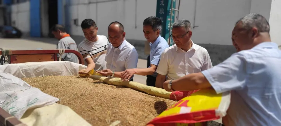 劉利民深入庫點(diǎn)調(diào)研夏糧收購工作